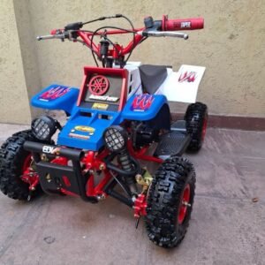 Best 49cc Gas Powered Banshee